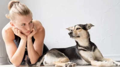 Side Effects of Dog Anxiety