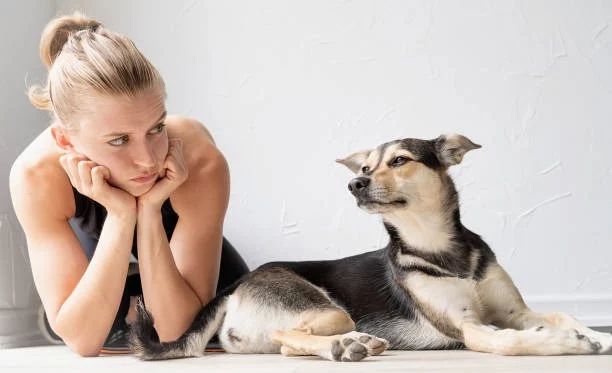 Side Effects of Dog Anxiety