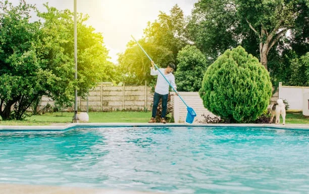 Why Regular Pool Cleaning Matters More Than You Think