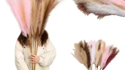 5 Mistakes to Avoid When Buying Pampas Grass in Bulk