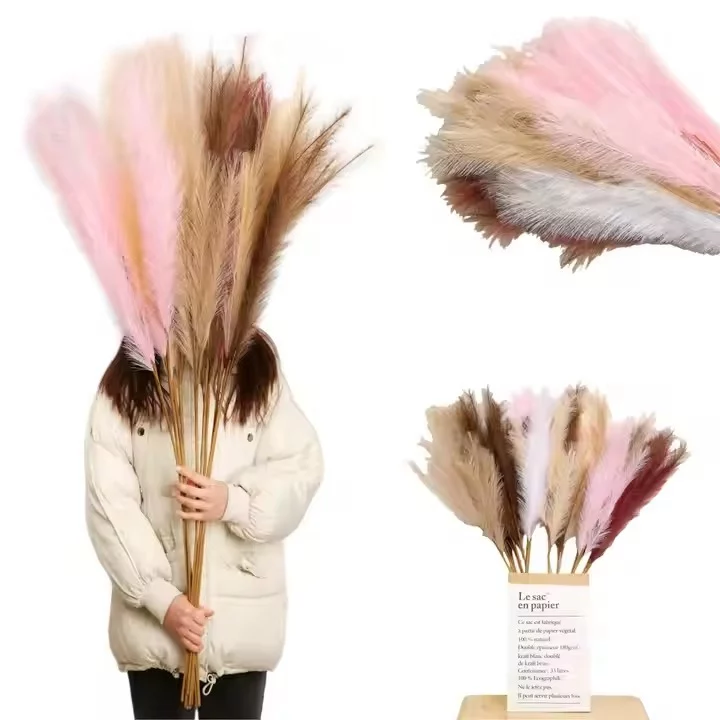 5 Mistakes to Avoid When Buying Pampas Grass in Bulk