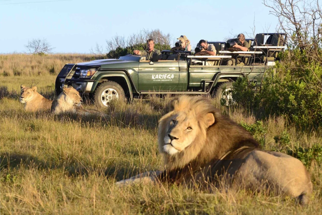 Top National Parks and Reserves for Safari Experiences in Kenya