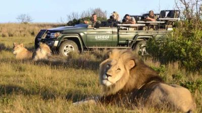 Top National Parks and Reserves for Safari Experiences in Kenya