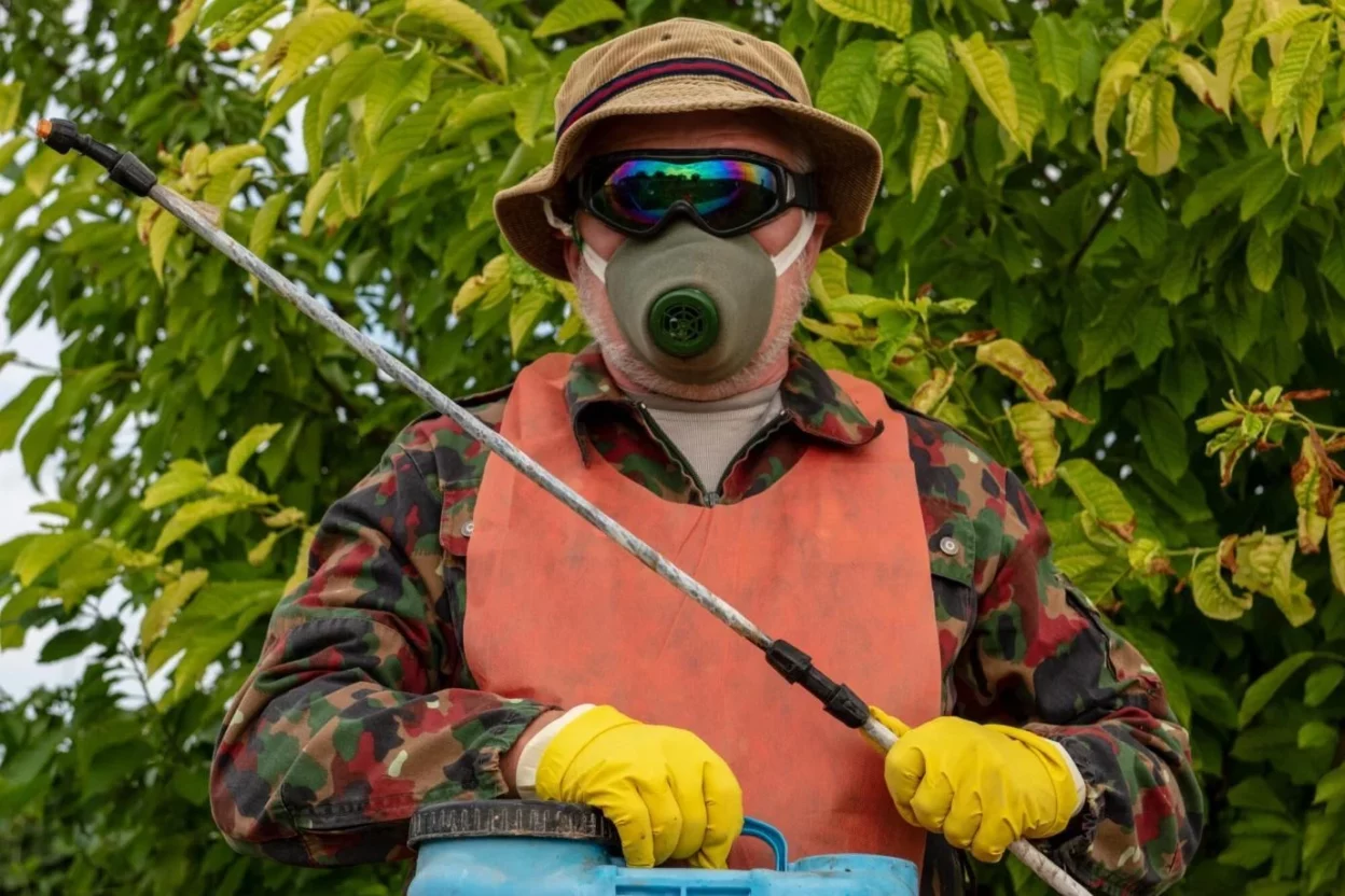 Choose the Right Pest Control Solution