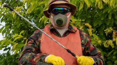 Choose the Right Pest Control Solution