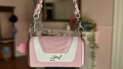 The World Of RAZ Purse Vape