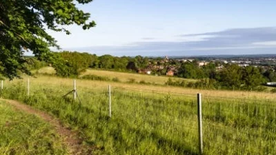 spring evening walks in Surrey