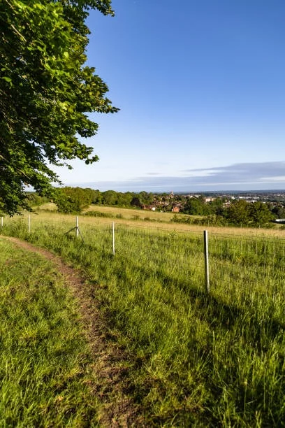 spring evening walks in Surrey