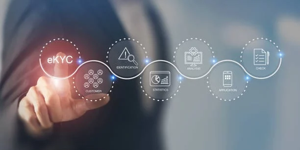 NetSuite Implementation Service