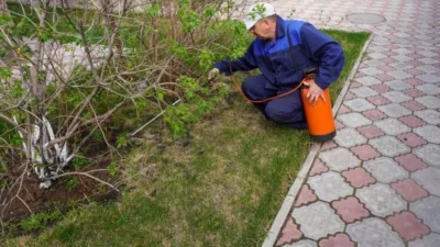 Outdoor Pests Away from Play Areas
