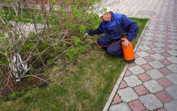 Outdoor Pests Away from Play Areas