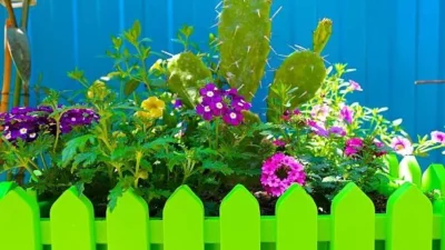 Bring Color to Your Garden Oasis