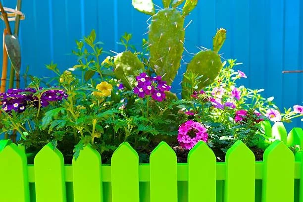 Bring Color to Your Garden Oasis