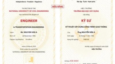 Buy Fake University Degree Safely