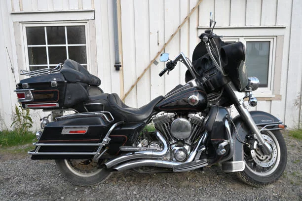 Best Harley for a Beginner
