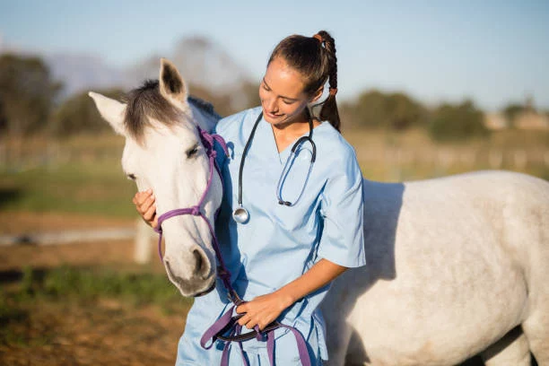 Horse Care Deepens the Human-Equine