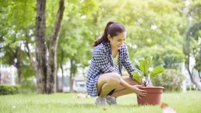 Low-Maintenance Landscaping