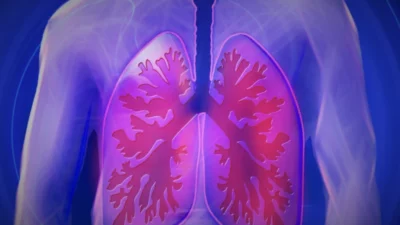 Supporting Respiratory Health