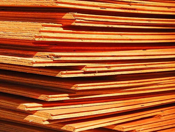 Different Types of Plywood and Their Best Uses Explained