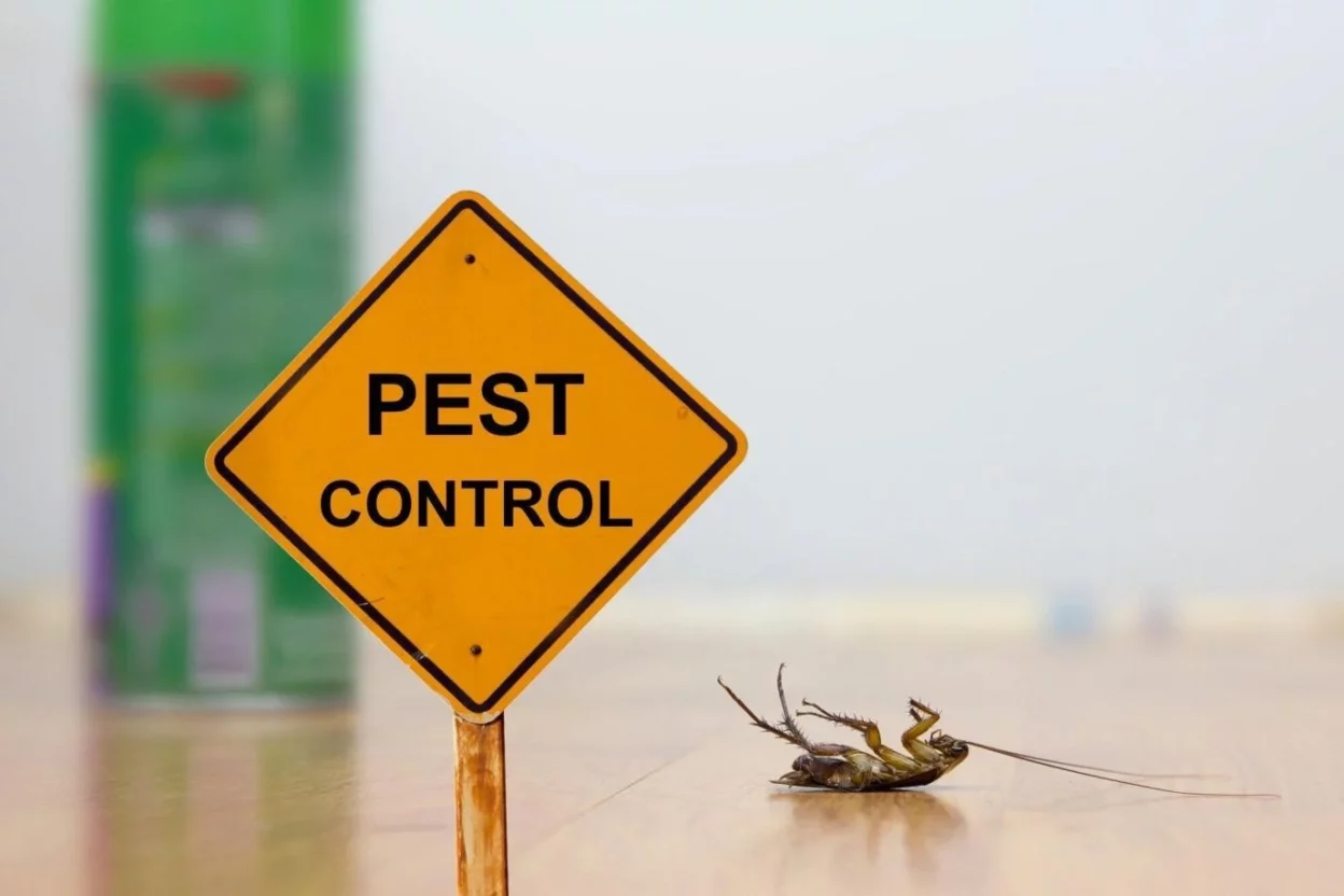 Pest Control in Workplaces