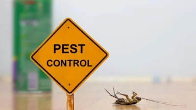 Pest Control in Workplaces
