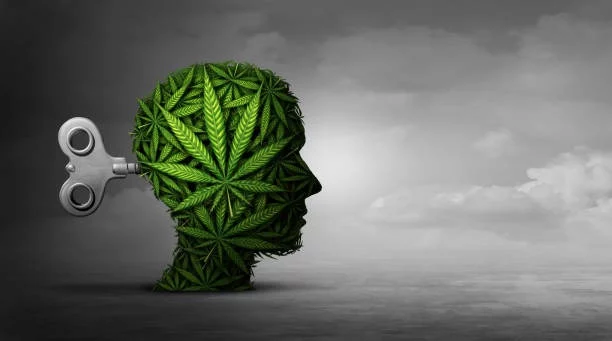 Cannabis on Cognitive Function
