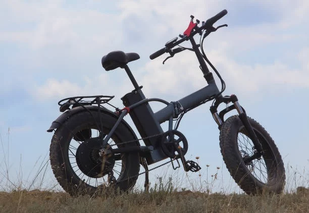 Dual Motor Electric Bikes