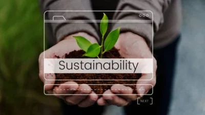 Sustainability Course in the 21st Century