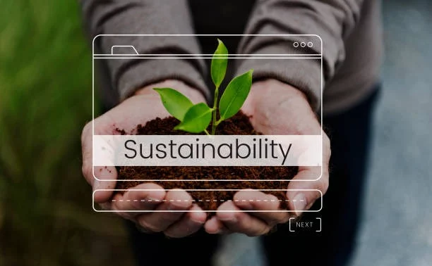 Sustainability Course in the 21st Century