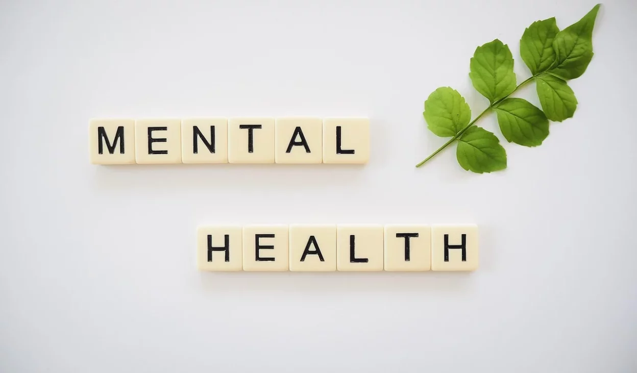 5 Best Mental Health Platforms