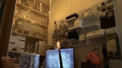 Any Harry Potter Fan Event