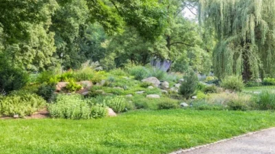 Environmental Benefits
