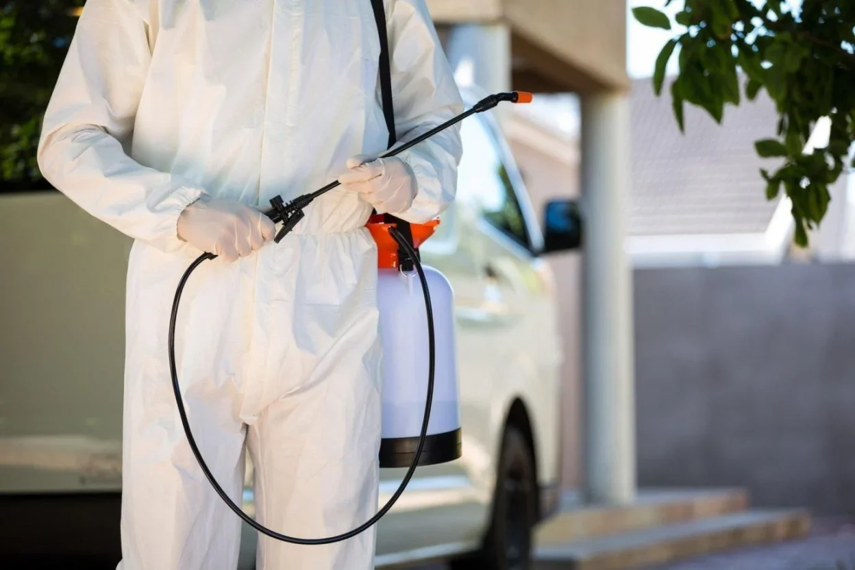 Effective Pest Control for a Safee