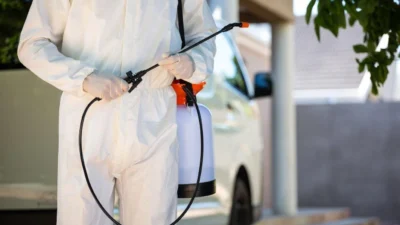 Effective Pest Control for a Safee