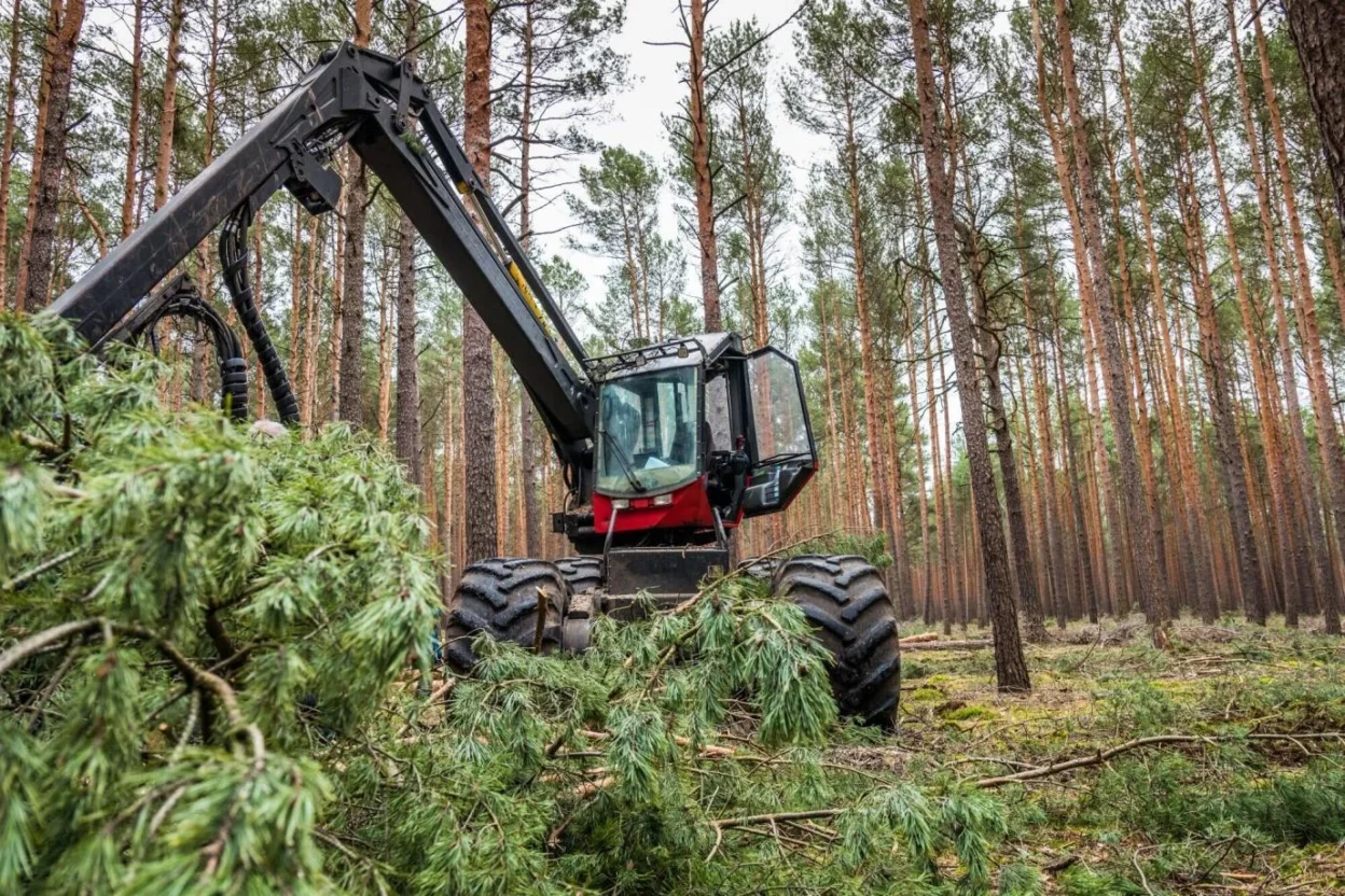 Expert Land Clearing Services