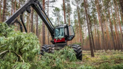 Expert Land Clearing Services