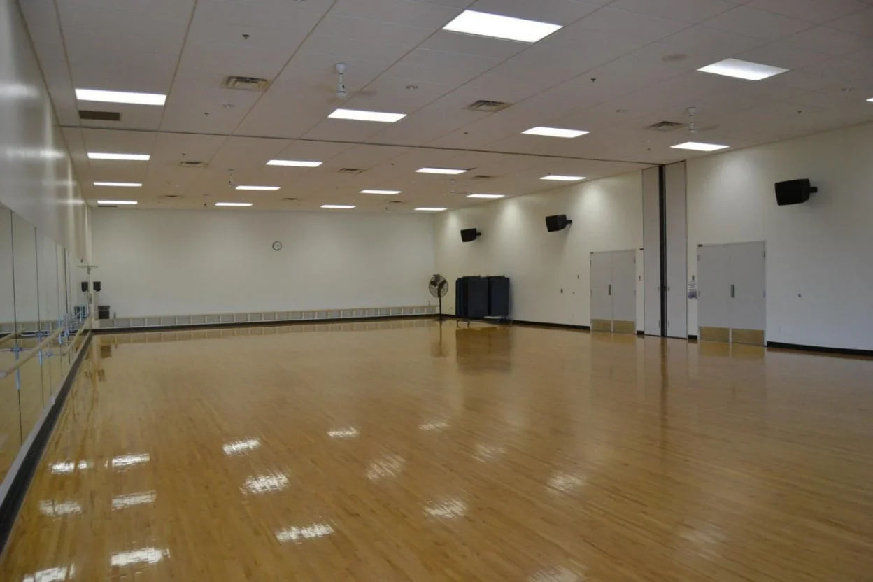 Vinyl Dance Floors