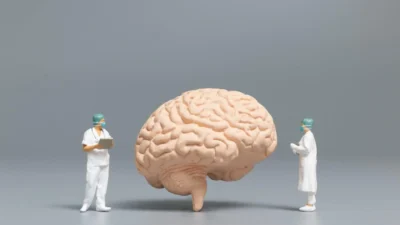 Human Understanding